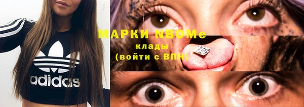 прущие грибы Аркадак