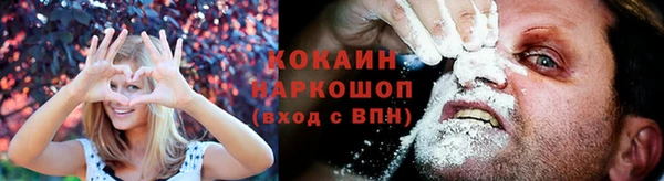 прущие грибы Аркадак