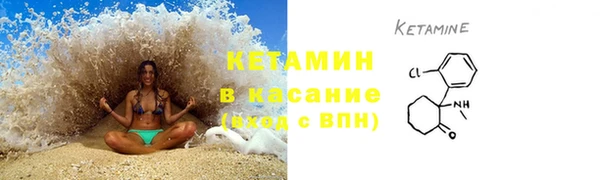 прущие грибы Аркадак