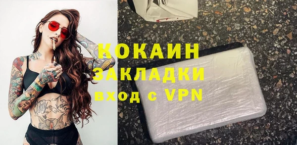 прущие грибы Аркадак
