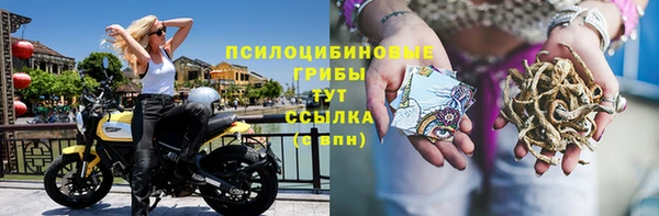 СК Армянск