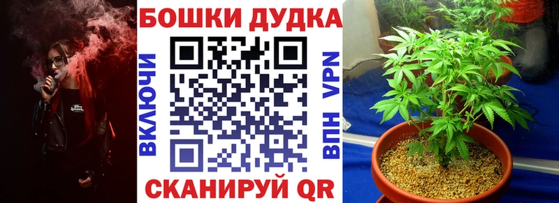 цены   Орёл  Канабис AK-47 
